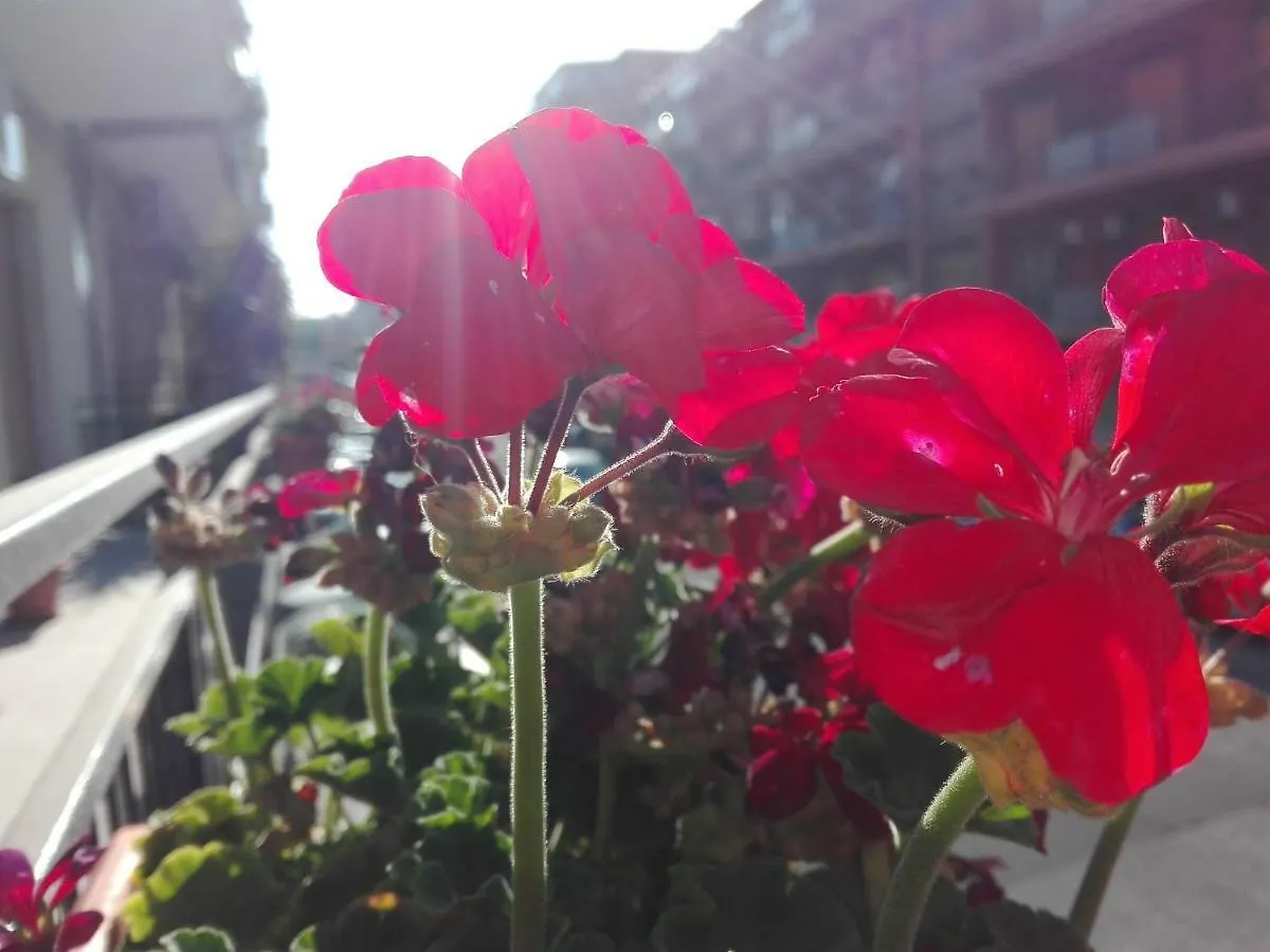 Cataniaedintorni Bed & Breakfast 3*, Catania Italy